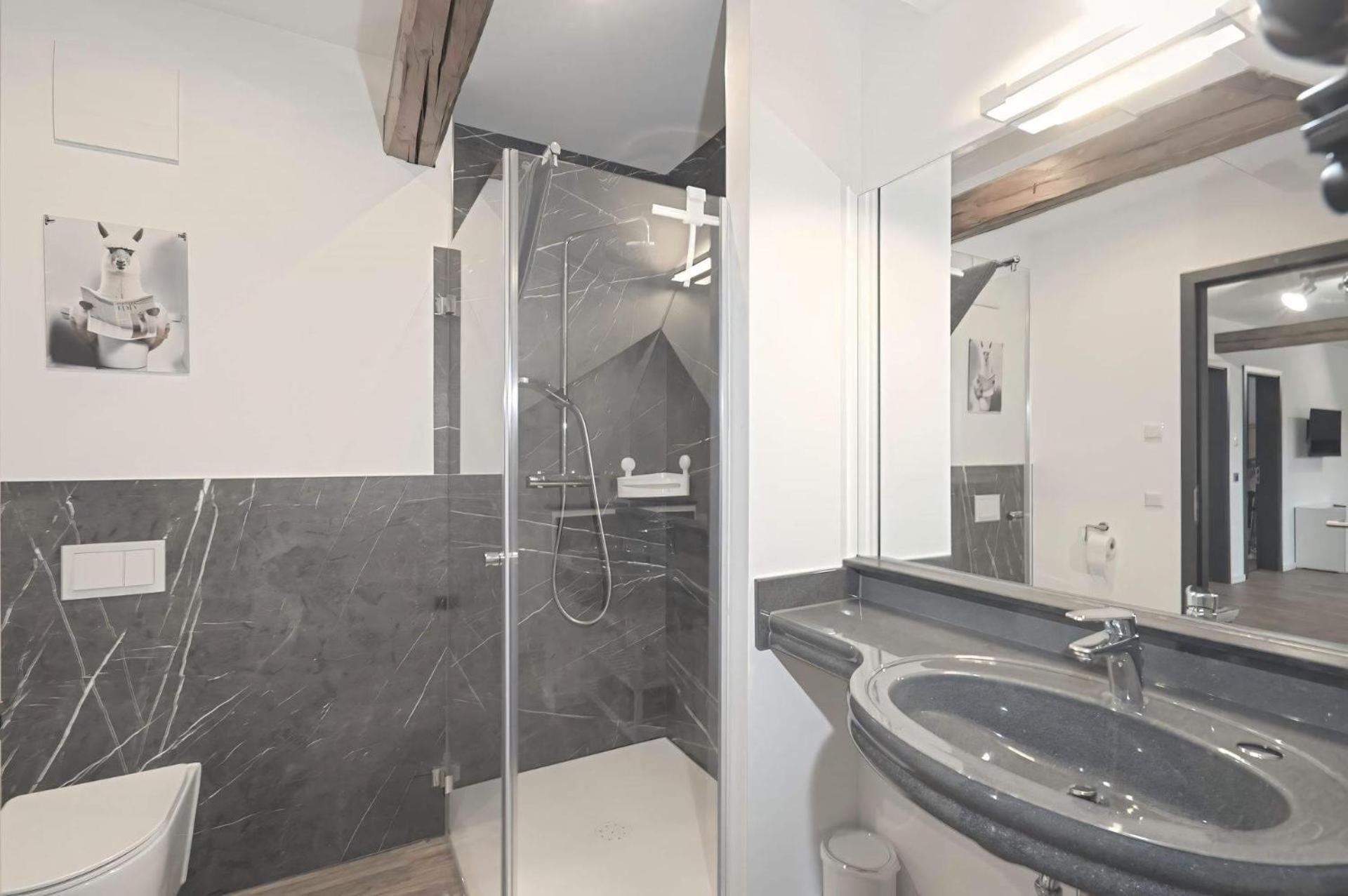 Ferienquartier- Forsthaus Apartment Bad Gottleuba-Berggiesshuebel Ngoại thất bức ảnh